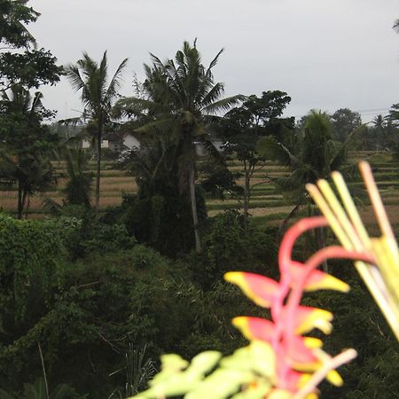 Ogek Home Stay Ubud  Ngoại thất bức ảnh