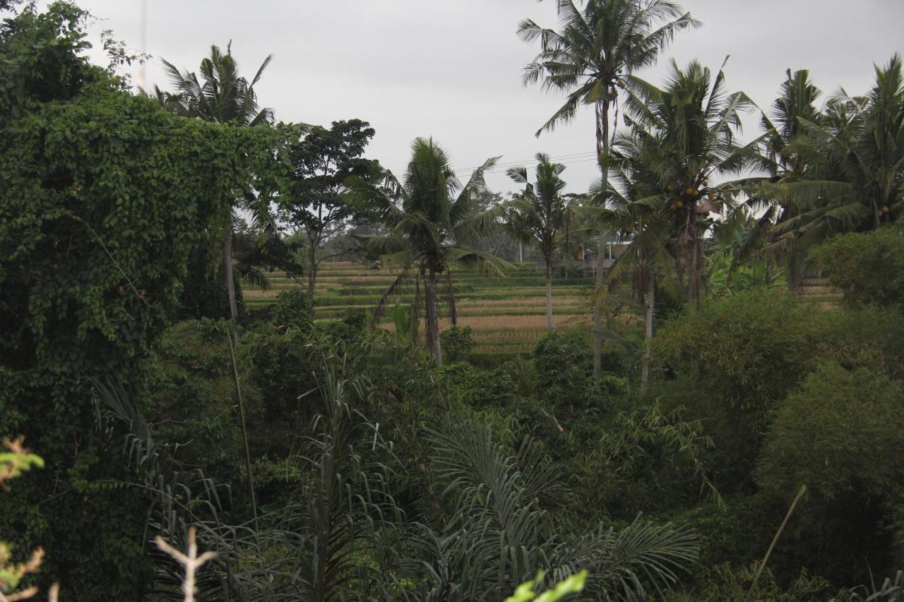 Ogek Home Stay Ubud  Ngoại thất bức ảnh