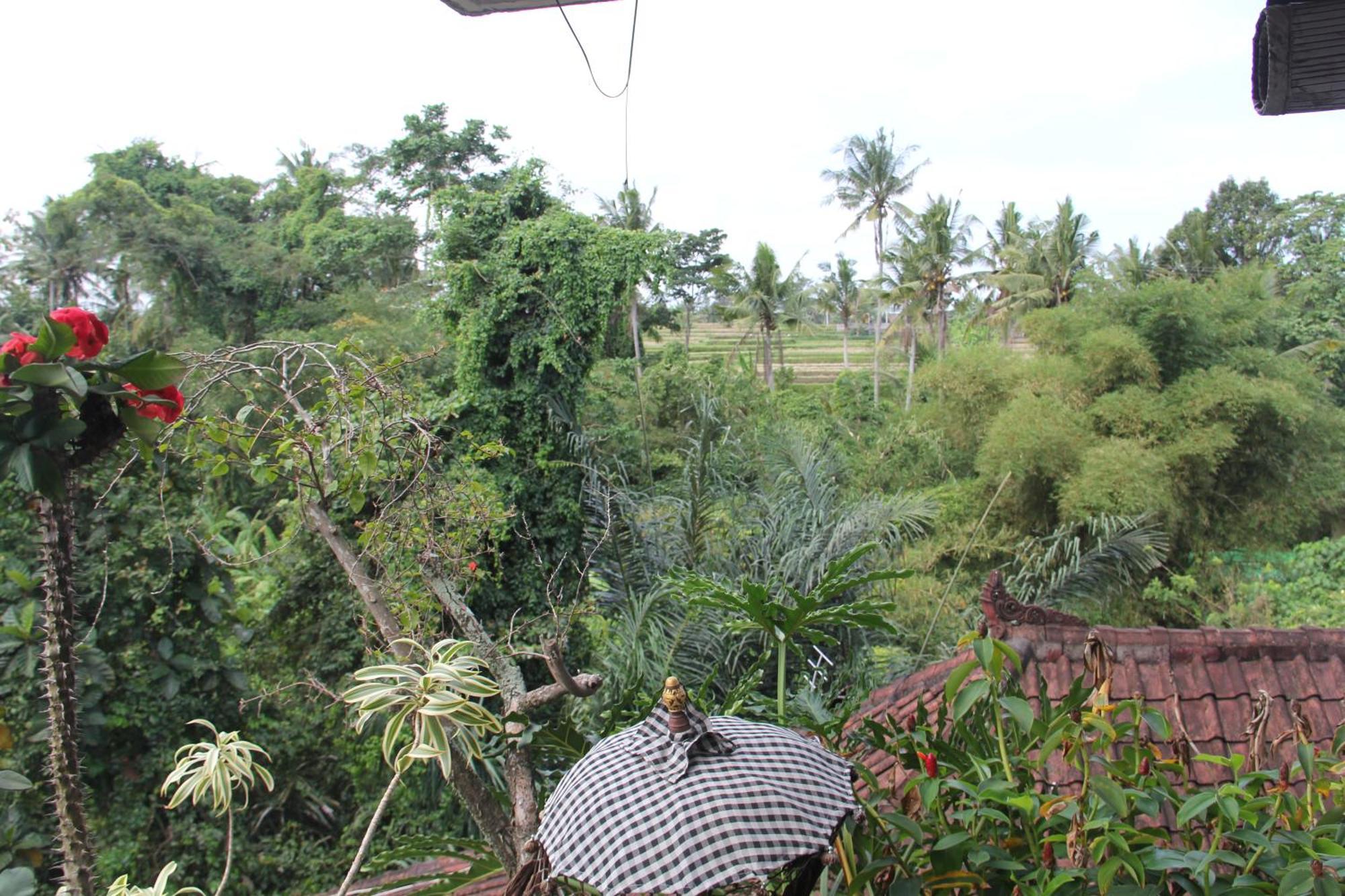 Ogek Home Stay Ubud  Ngoại thất bức ảnh